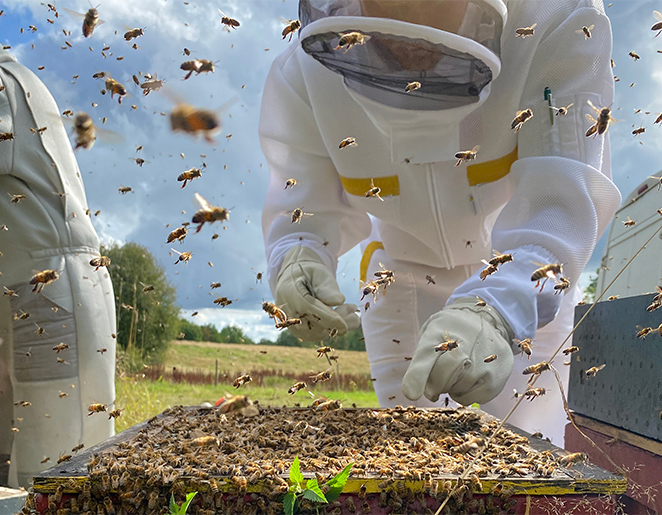 BJÖRN'S COLORADO HONEY – Urban Life Wash Park